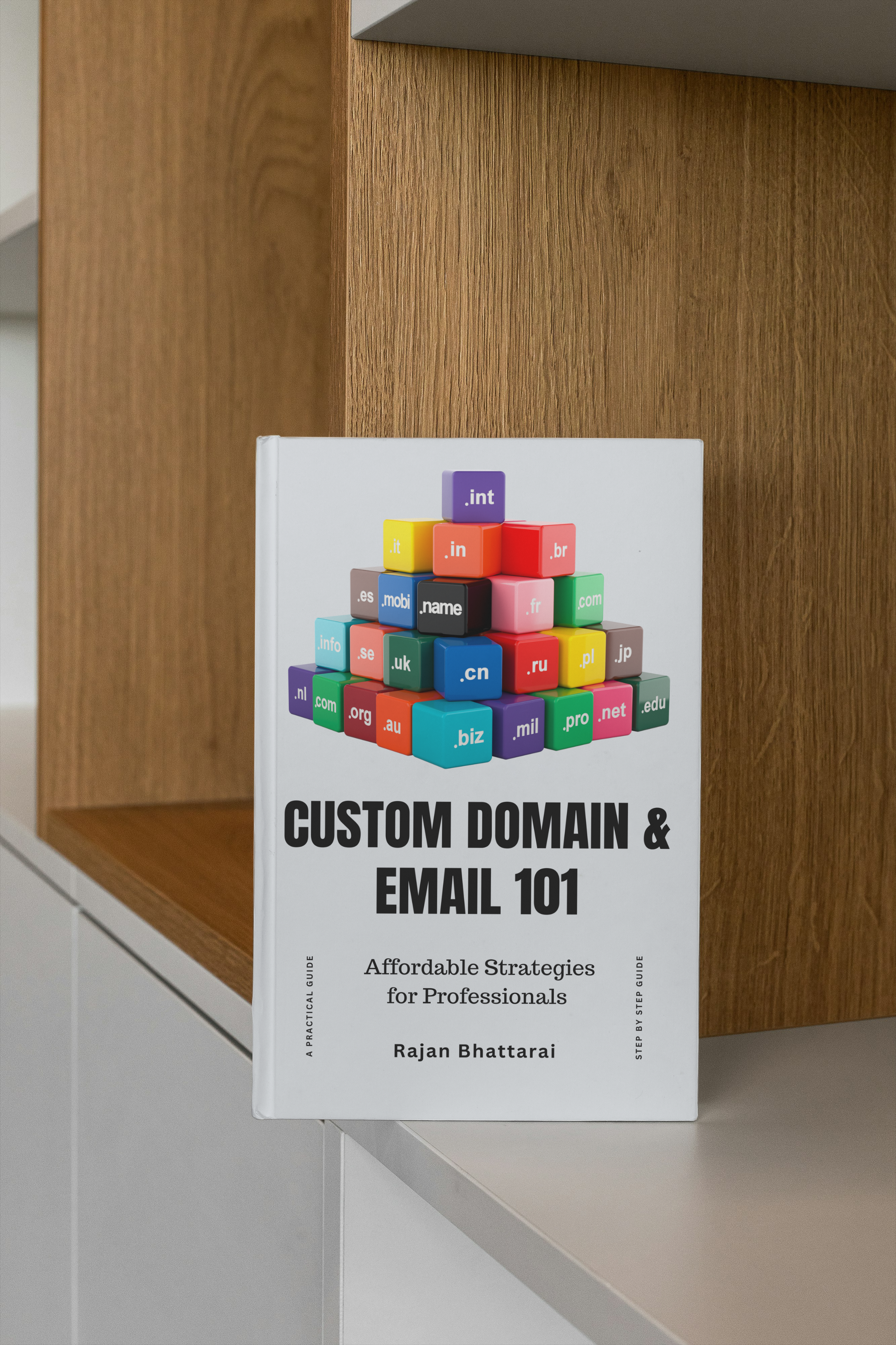 Custom Domain and Email 101 – Affordable Strategies for Professionals - Image 2